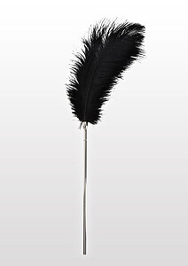 TABOOM Essentials Feather Tickler (Black), large tickle feather