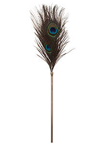 TABOOM Dona Peacock Tickler, peacock feather tickler