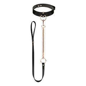 Rosy Gold Collar with Leash (Black)