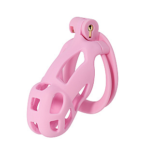 Hidden Desire Extreme Penis Prison Cock Cage Regular, discreet locking cage